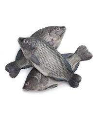 Bream fish